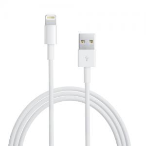 Apple iPhone Power Adapter